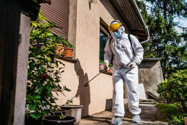 Professional Pest Control in Gifford, FL