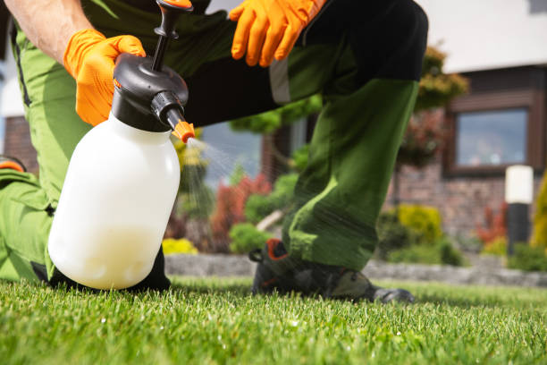 Best Local Pest Control Services  in Gifford, FL