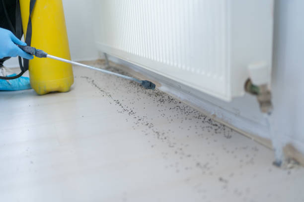 Best Pest Inspection Near Me  in Gifford, FL